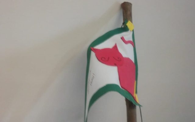 Formação Geral de Pedagogia Escutista