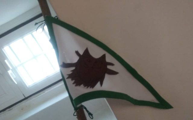 Formação Geral de Pedagogia Escutista