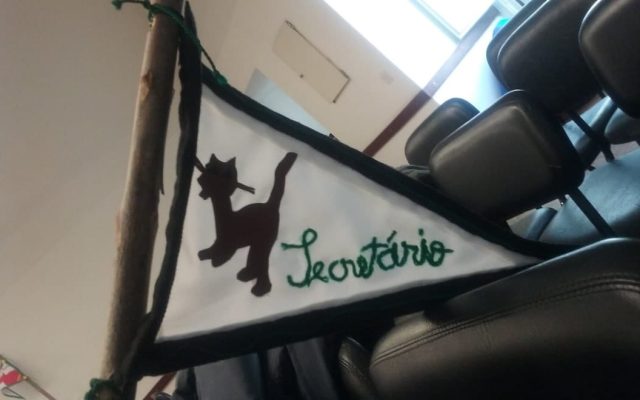 Formação Geral de Pedagogia Escutista