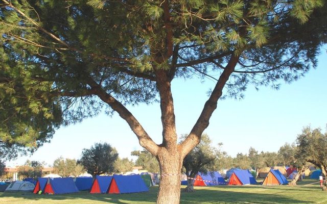 Encontro Regional de Pioneiros 2015-16