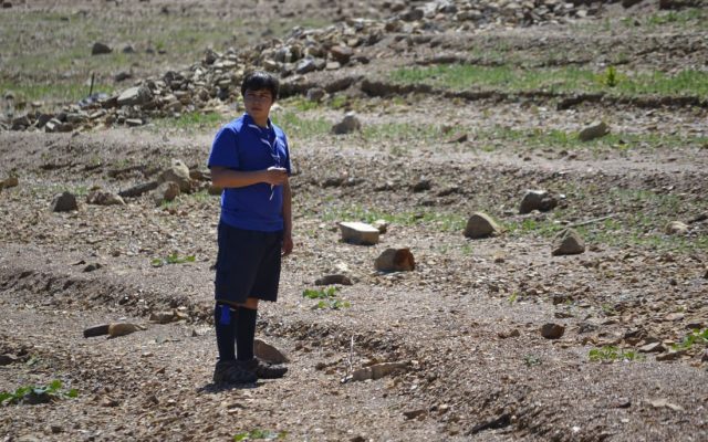Encontro Regional de Pioneiros