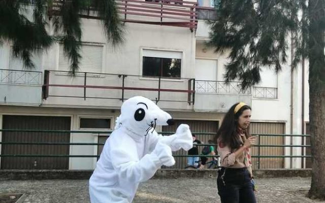 Encontro Regional de Lobitos