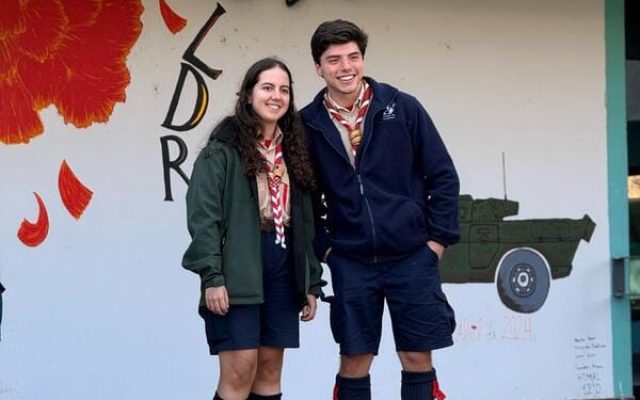 ERGUI + Formação