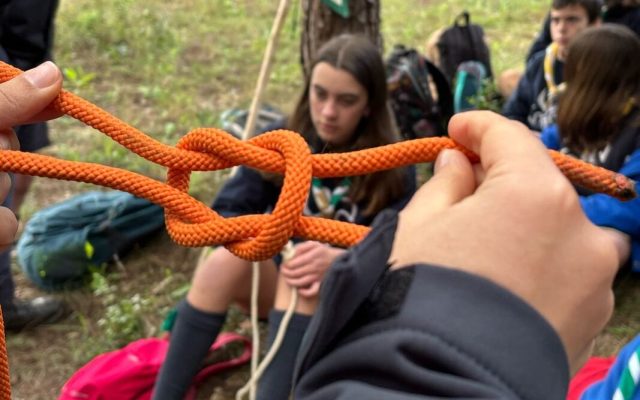 PRIMEVA 25