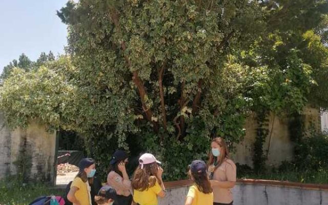 Encontro Regional de Lobitos