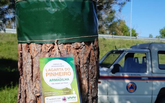 Proteção Civil e Escuteiros: Prevenir para os riscos Reduzir