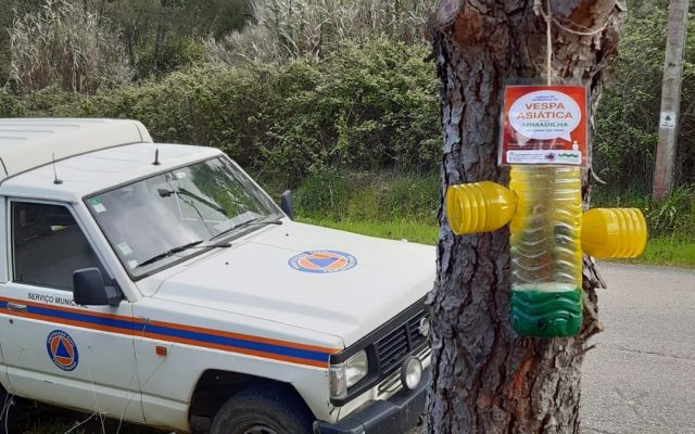 Proteção Civil e Escuteiros: Prevenir para os riscos Reduzir